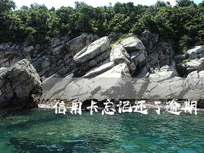 信用卡忘记还了逾期 征信 信用卡忘记还了逾期 征信